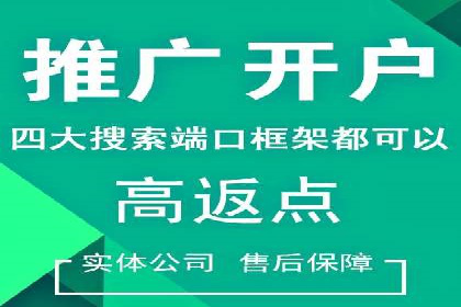 竞价开户策略：成功案例解读